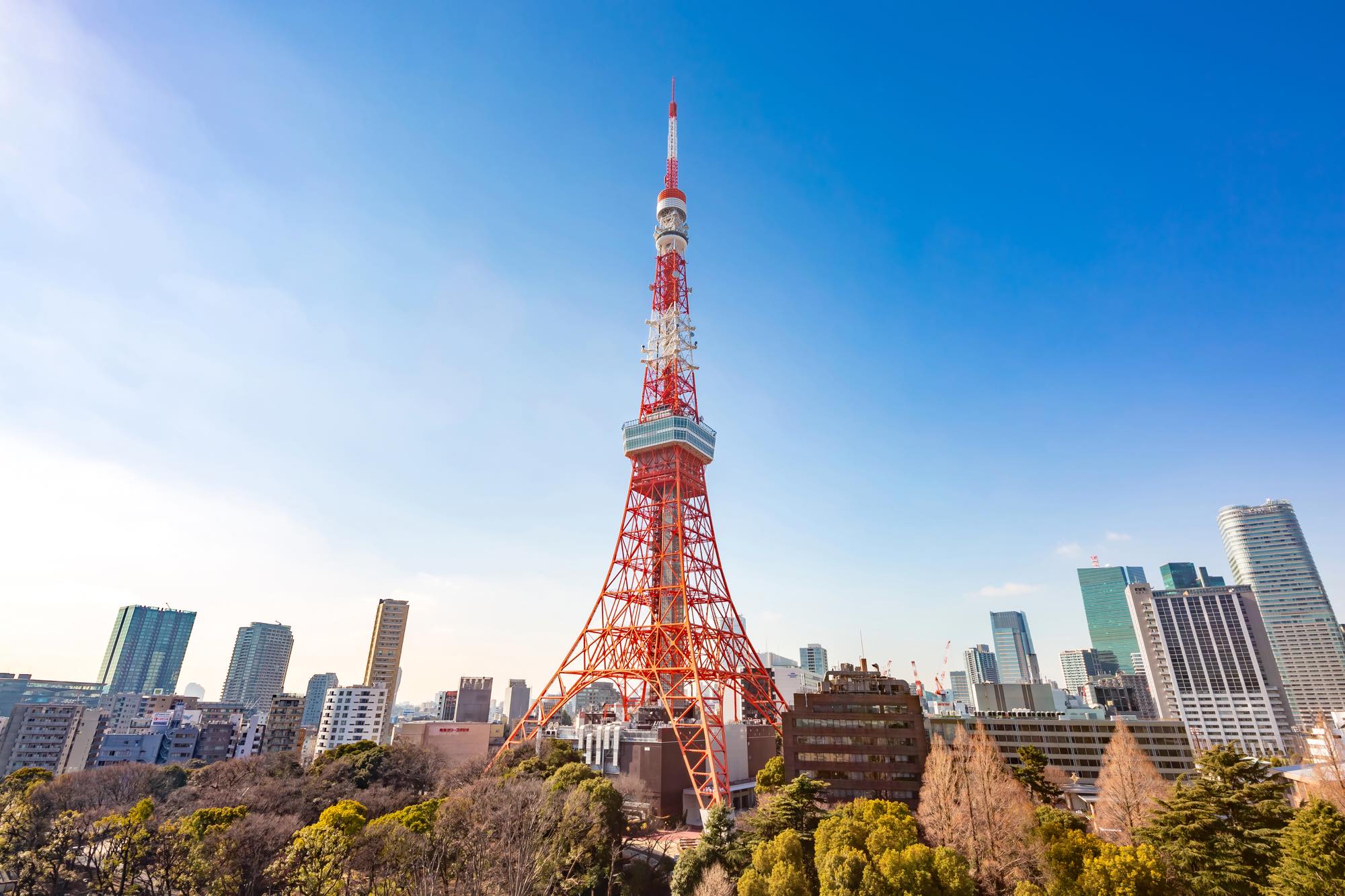 東京タワー Dmo芝東京ベイ